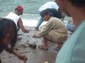 1st time nangyari sa pantalan sa ozamiz.. nga ang mga isda  nangambak paingun sa  sa pantalan....