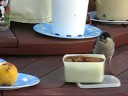 At the Table Feeding