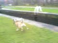 tyse on cunny again