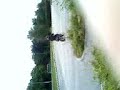 session stunt ds le 02