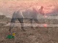 Condições da Vida nos circos con animais, violência com animais nos circos Condições da Vida nos circos con animais, violência com animais nos circos