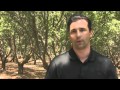 Why is Labor So Important to California Agriculture?