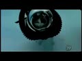 Scuba Diving Cat