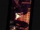 Checc My Dougie- Twin & Decio Checc My Dougie- Twin & Decio