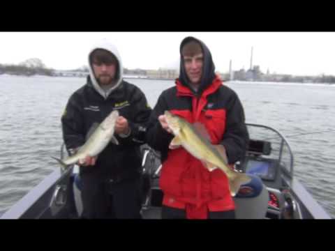 walleye tips
