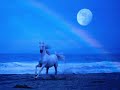 native american wild spirit horses ( innocence Enigma )