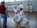 Karate Klub Napredak