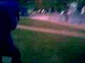 videos de Tratando de bajar del arbol xd