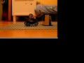 Episode 4: Indy Crashes his motorbike