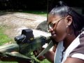 Torri shooting AR50 AR15 MAC10 1911 and more