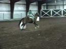 Barrel racing