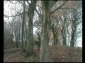 videos de rochdale foot loose