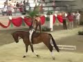 Voltige equestre: Europes 2007 Voltige equestre: Europes 2007