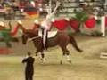 Voltige equestre: Europes 2007