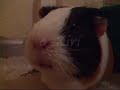 Kiri