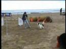 jumping irma con mac a cervia