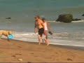gisele bundchen on the beach with dogs