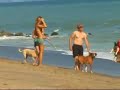 gisele bundchen on the beach with dogs