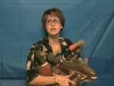 the animal lover gone wrong Commercial the animal lover gone wrong Commercial