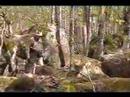 Uisge Ban  Hiking Trail & Falls