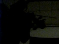 wenanaty's band
