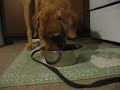 Tommy Eating