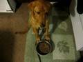 Tommy Eating