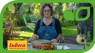 Tomatensamen gewinnen: 2 einfache Methoden mit Anleitungen 🍅