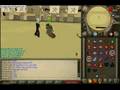 overlord76 maxing with rune 2h