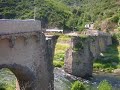 comm�morations ponte-novu 2008