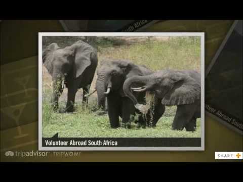 how to volunteer for a mission trip