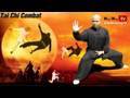 Tai Chi Combat (G.U.F 1) Master Wong System
