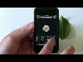 LeafSnap iPhone app demo: ID trees by taking a pic of a leaf