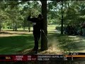Tiger Woods break is club on tree