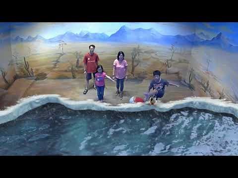 Air Land & Sea Illusion 3D Art Museum 3Sept2017