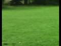 videos de Vineta Tensor