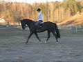 Provrida M�nljus