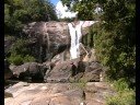 MURRAY RIVER FALLS
