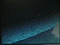 3D easel creation