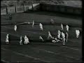 Dooling Highlights