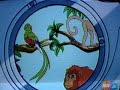 go diego go bonito