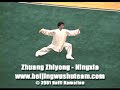 wushu - beijing wushu team