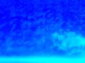 1000 piranha babies/fry at 5 days old 1000 piranha babies/fry at 5 days old