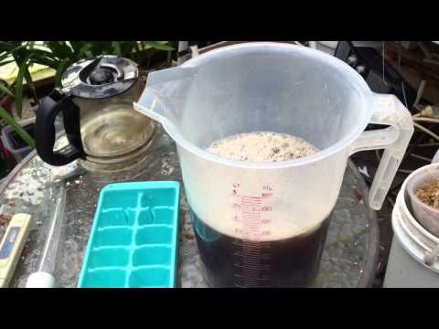 how to fertilize plants in pots