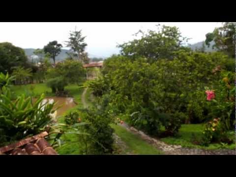 Video of Hostal Selva y Cafe