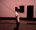 videos de animao