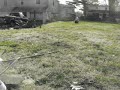 Bowstick\