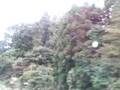 08/11/09JR常磐線の車窓