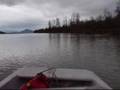 Lower Stikine River