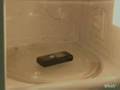 Cell Phone In Microwave